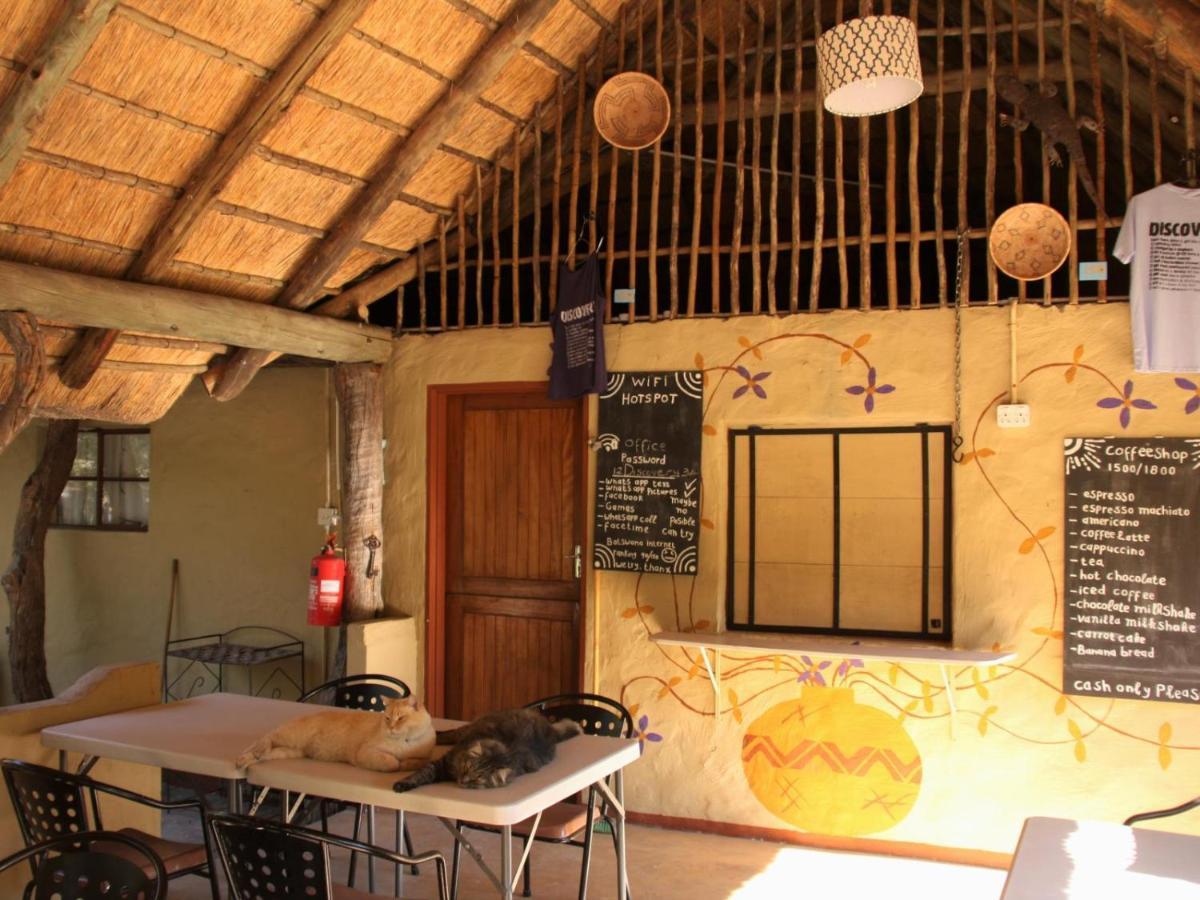 Discovery Bed And Breakfast Maun Eksteriør bilde